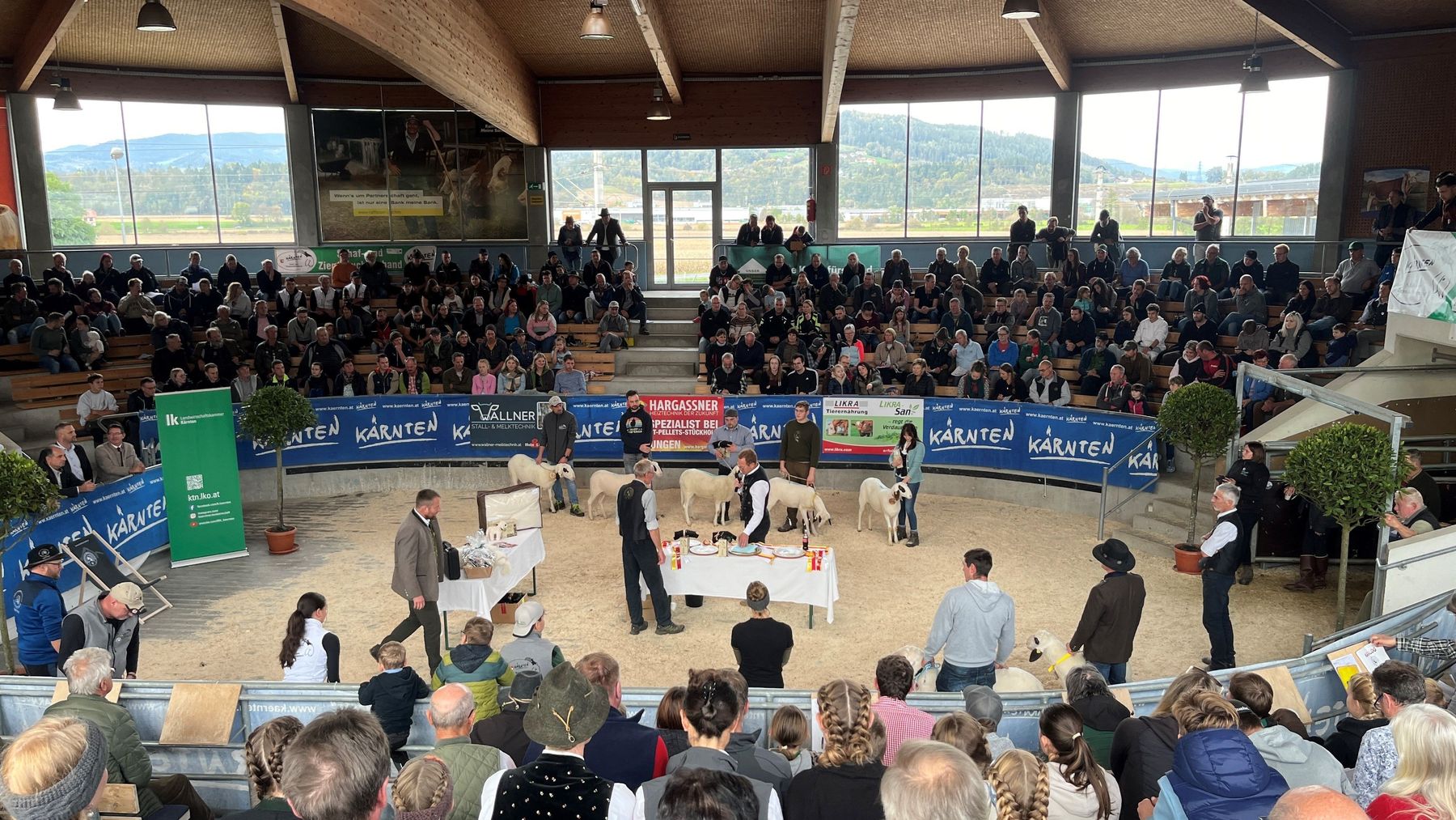 Arena.jpg © SZZV Kärnten
