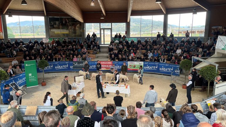 Arena.jpg © SZZV Kärnten