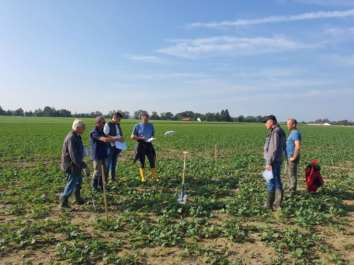 [1759323826520780_1.jpg]