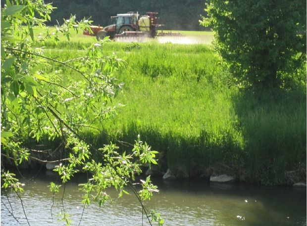 [1759325215896175_7.jpg]