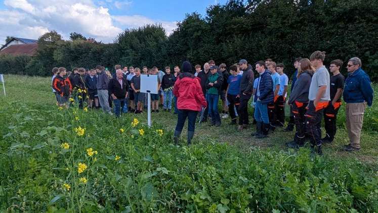 Besichtigung Zwischenfruchtversuch LWS Burgkirchen, 1. Oktober 2025