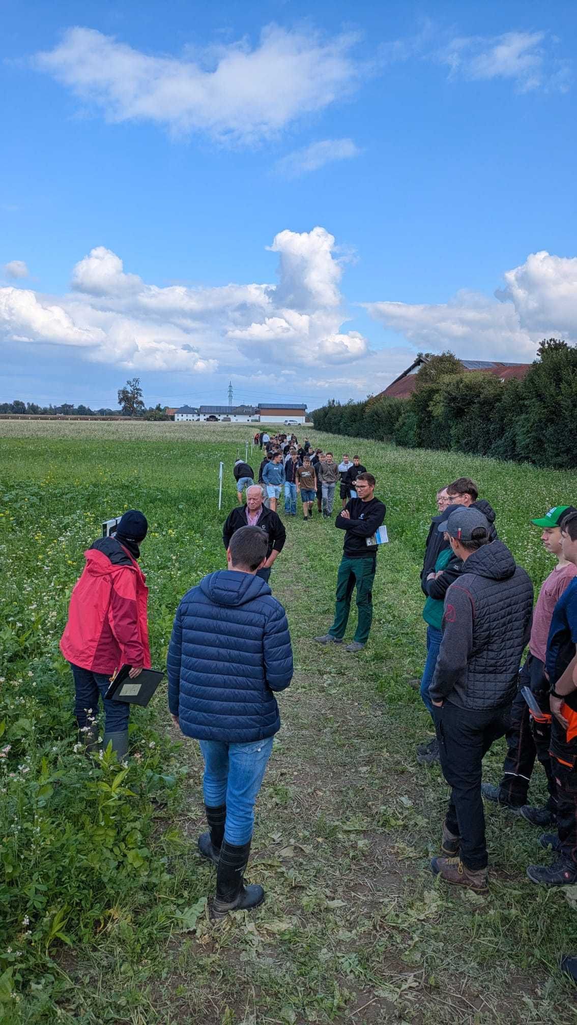 Bei der Besichtigung des Zwischenfruchtversuches an der LWS Burgkirchen am 01.10.2025 konnten sich Landwirte und viele Schüler:innen informieren.
Die verschiedenen Varianten zeigten deutliche Unterschiede und wir erwarten interessante Ergebnisse.  © BWSB