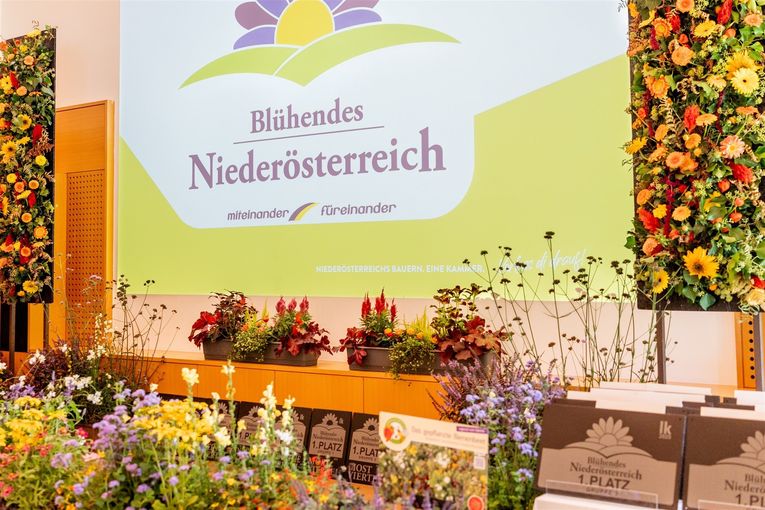 © Georg Pomaßl/LK Niederösterreich © Georg Pomaßl/LK Niederösterreich