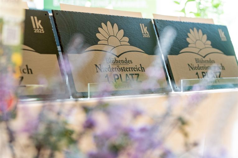 © Georg Pomaßl/LK Niederösterreich © Georg Pomaßl/LK Niederösterreich