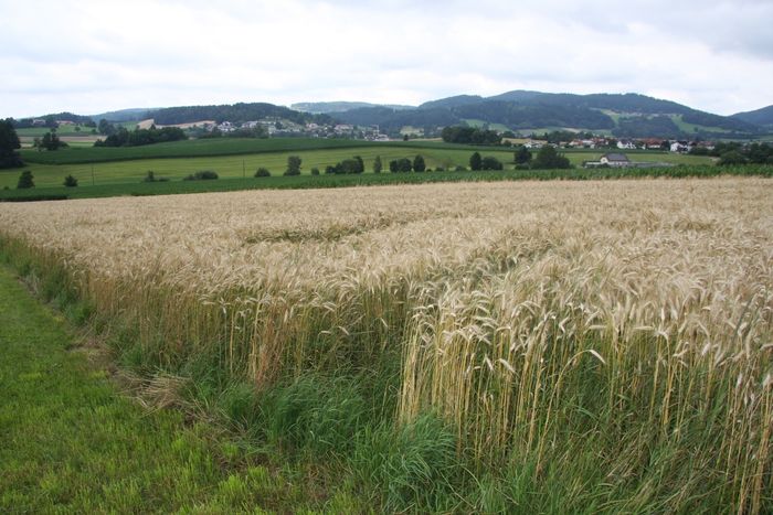 [175938966594267_1.jpg]