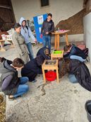 Milchproduktion - Eimermelken.jpg © BBK Scheibbs