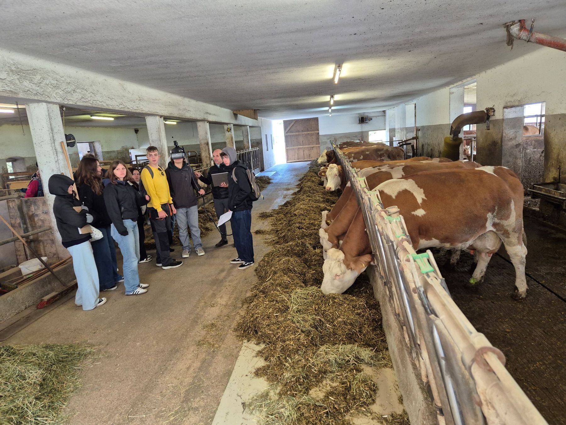 Mit den Augen einer Kuh.jpg © BBK Scheibbs Mit den Augen einer Kuh.jpg © BBK Scheibbs