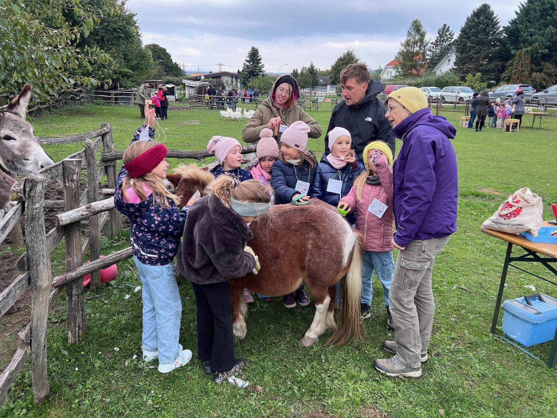 Welttierschutztag - Kinder mit Pony.jpg © Claudine Mramor