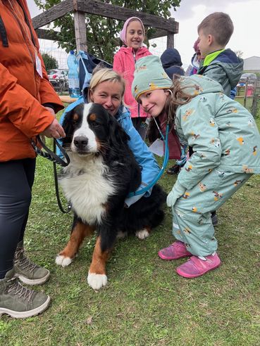 8 - Hund.jpg © Archiv