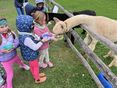 Welttierschutztag - Kinder mit  Alpakas © Claudine Mramor