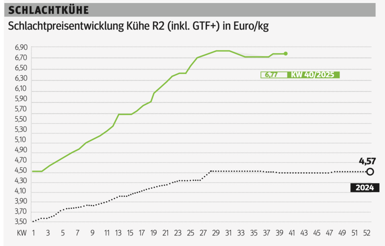 Schlachtkuhgrafik KW 40.png © Grafik RZV