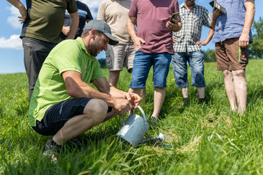 3_AK-Gruenland-DK-20250630154325┬®Daniela_Koeppl-Web.jpg © LFI/Köppl Daniela
