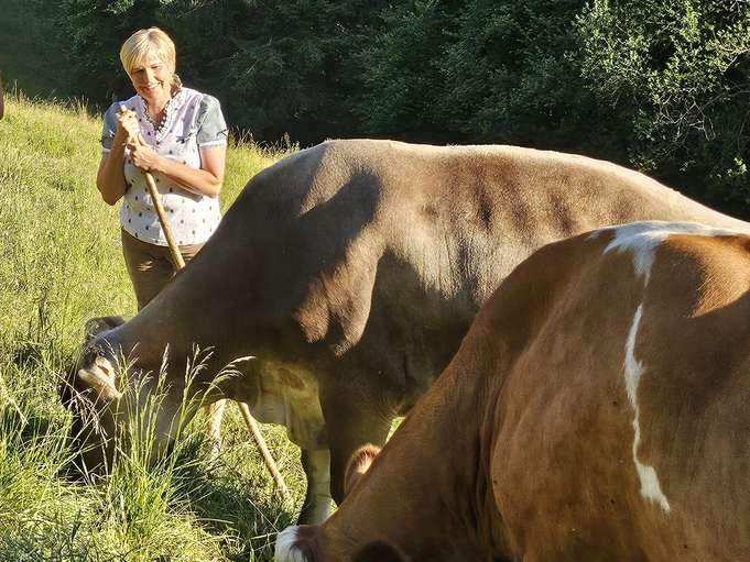 Almkühe und Bäuerin © Frewein