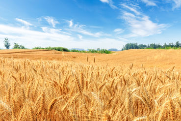 AT_AdobeStock_270357339_ABCDstock.jpg © AdobeStock_270357339_ABCDstock