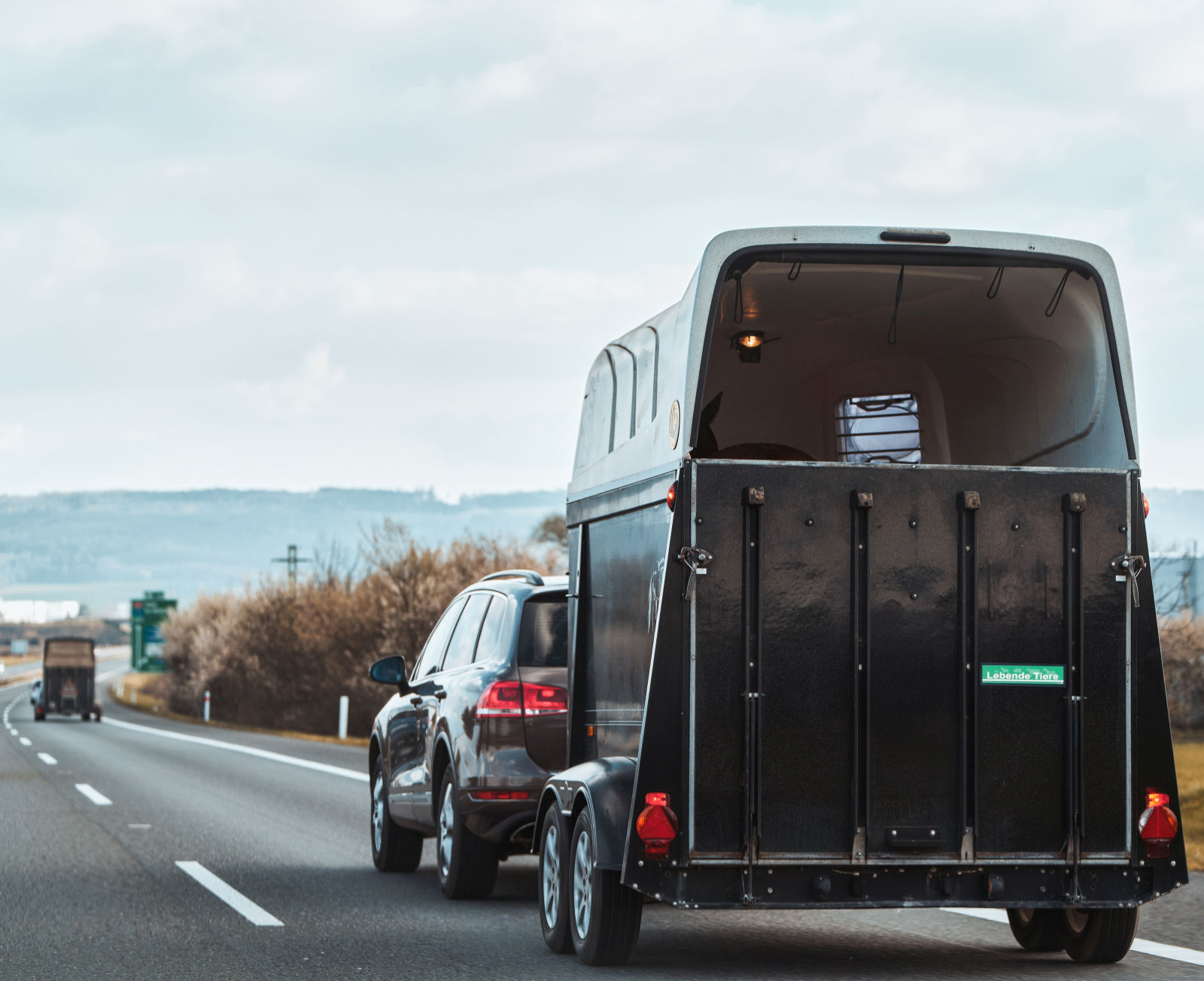 recht_th_Pferdetransport_c_AdobeStock_613619350.jpg © AdobeStock_613619350