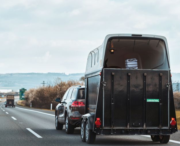 recht_th_Pferdetransport_c_AdobeStock_613619350.jpg © AdobeStock_613619350
