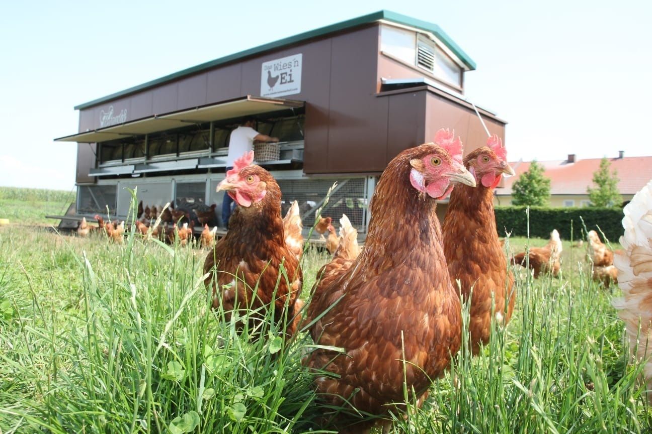 88f380c0-d0a0-4a6b-a4e1-07928614e9cc_neu.jpg © privat 88f380c0-d0a0-4a6b-a4e1-07928614e9cc_neu.jpg © privat