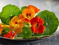AdobeStock_1714917377 © AdobeStock/KI-generiert