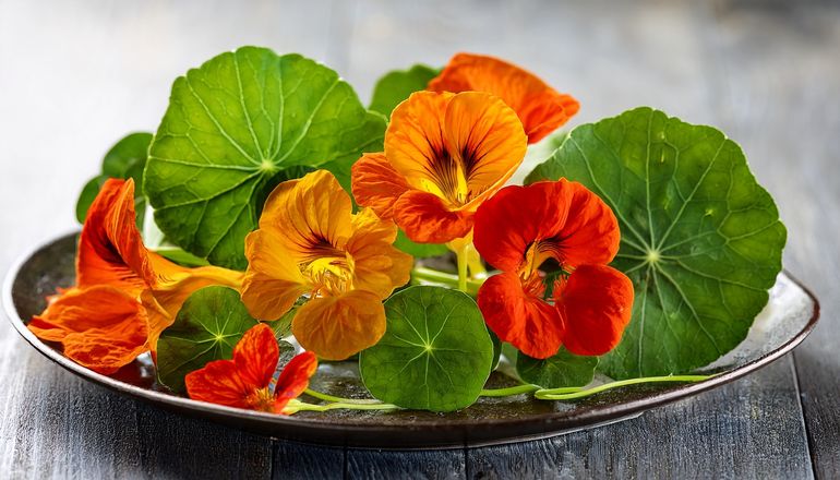 AdobeStock_1714917377.jpg © AdobeStock/KI-generiert