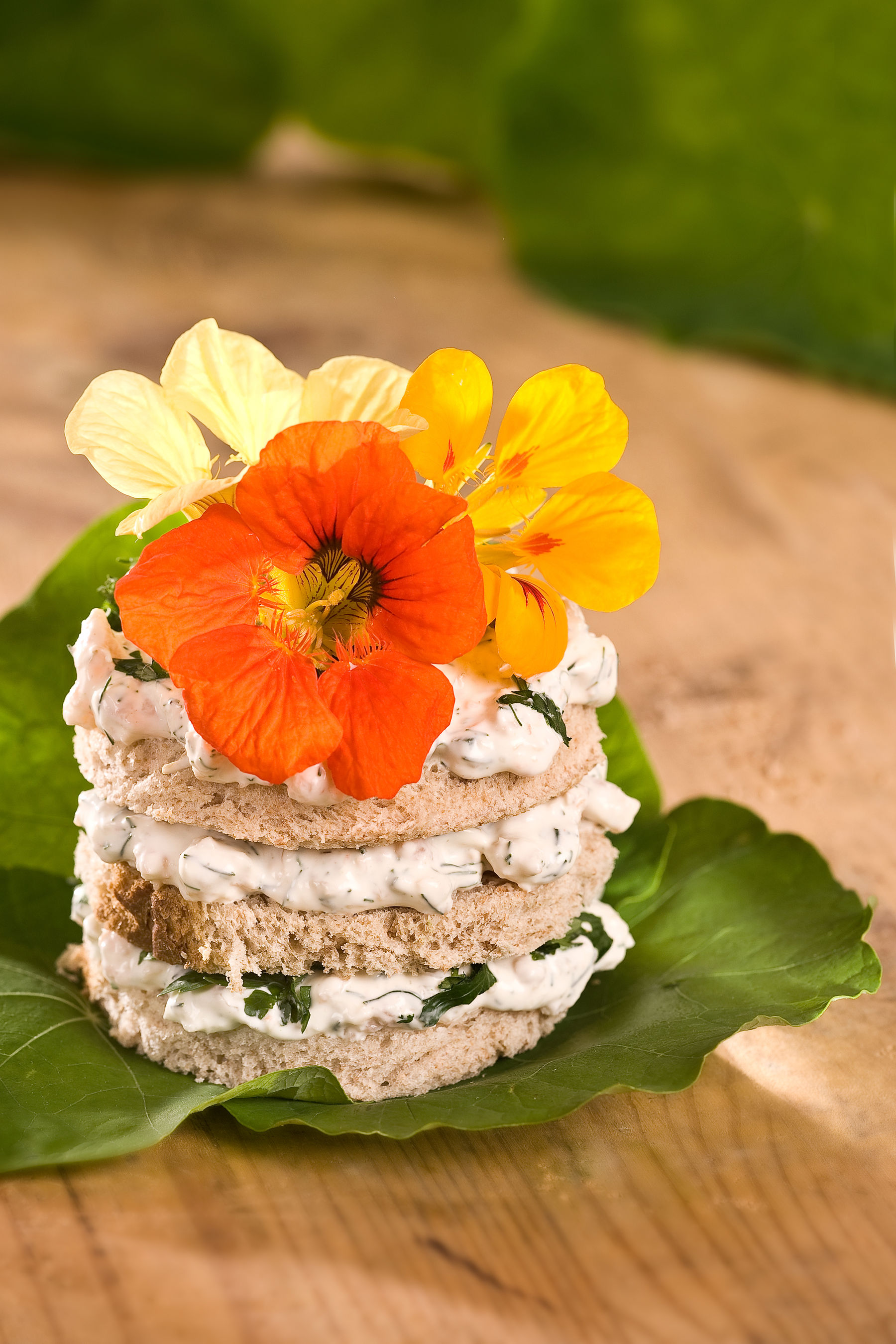 DSC_18251.jpg © AdobeStock/KI-generiert