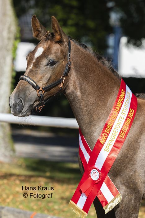 [1759831466002671_1.jpg]