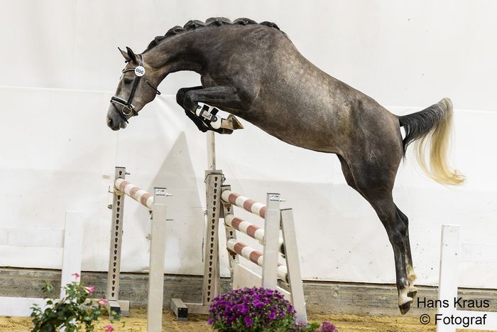 [1759831469502970_1.jpg]