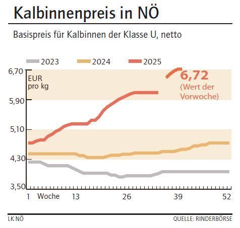 Grafik Kalbinnenpreis 41_2025.jpg © LK NÖ
