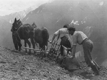 Landwirtschaft früher.jpg © Gemeinde Bartholomäberg