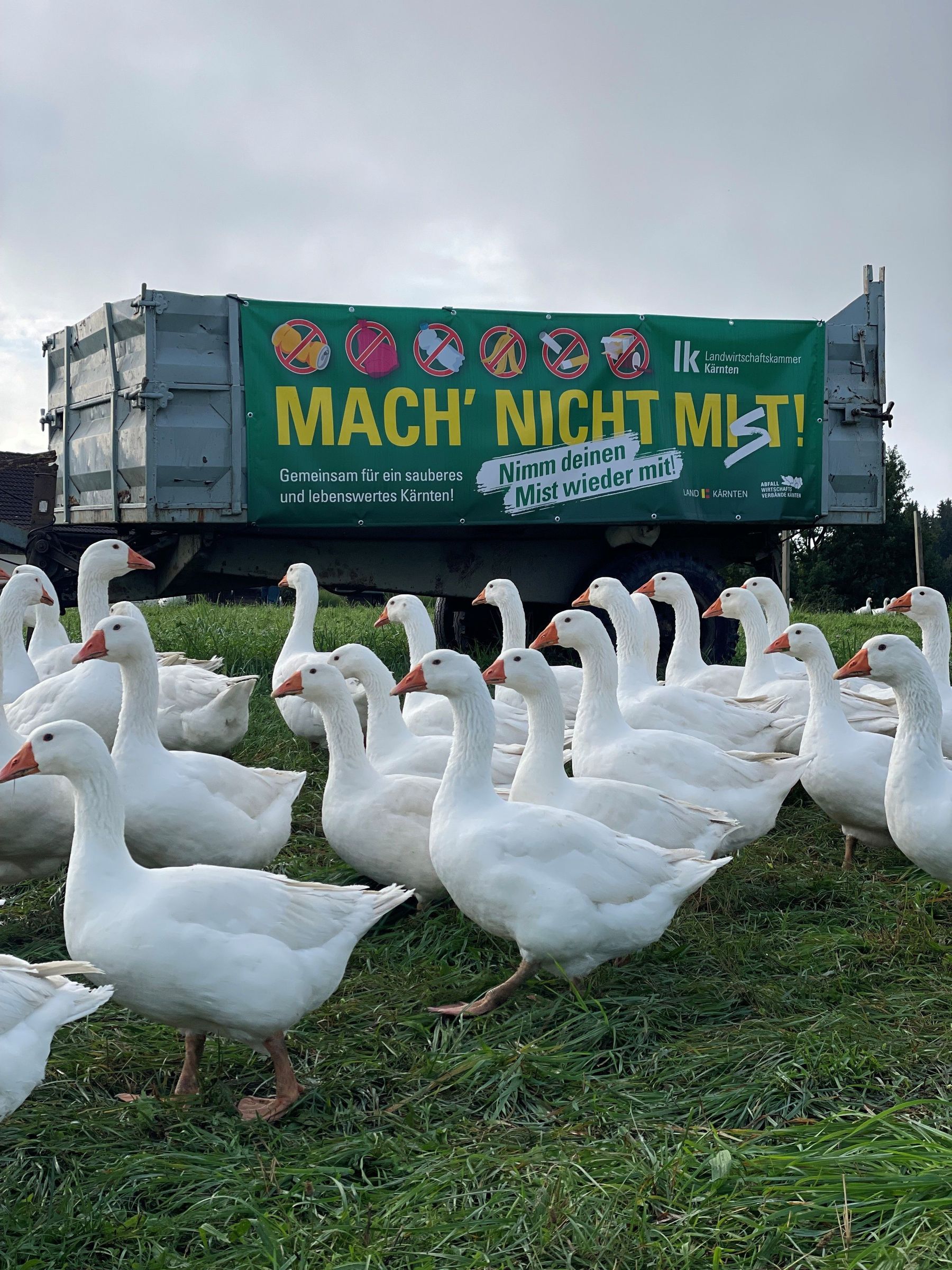 Dauschan Claudia@Gons onders.jpg © Gons onders