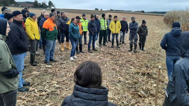Feldbegehung am Betrieb Mauhart in Sipbachzell, 7. Oktober 2025
