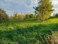 Agroforst_Leonding_3_tw © BWSB/Wallner