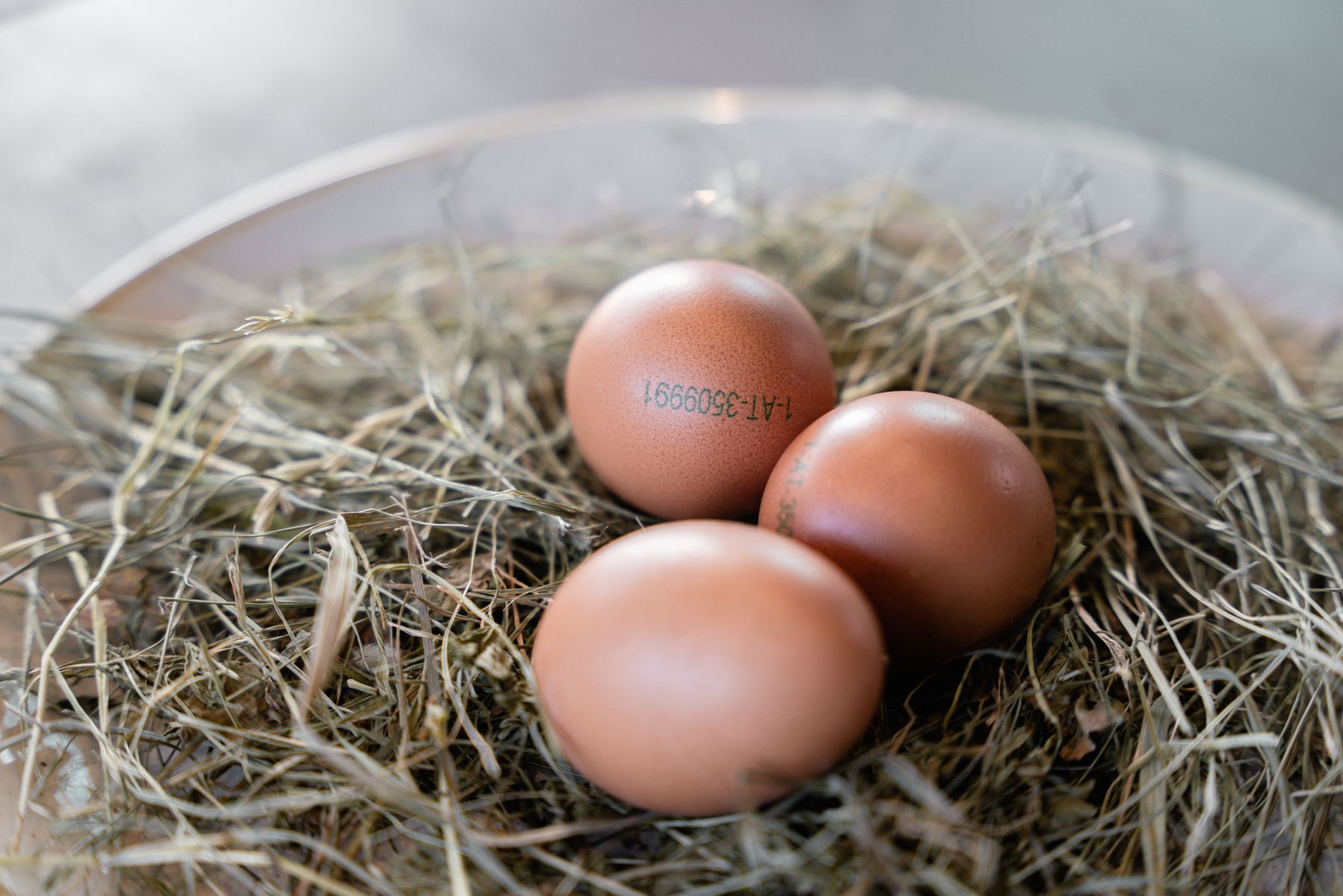 Eier im Korb .jpg © (c)AMA_NetzwerkKulinarik