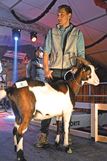 Tauernschecken begeistern bei Zweiländerausstellung.jpg © SZV