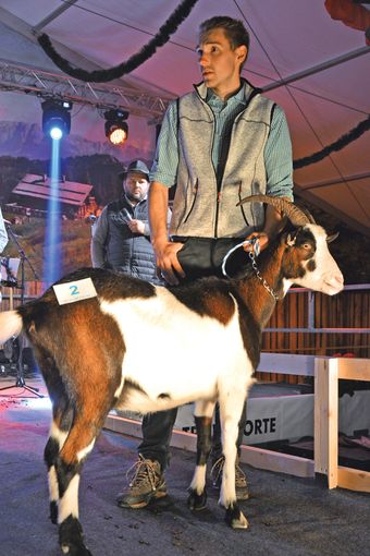 Tauernschecken begeistern bei Zweiländerausstellung.jpg © SZV
