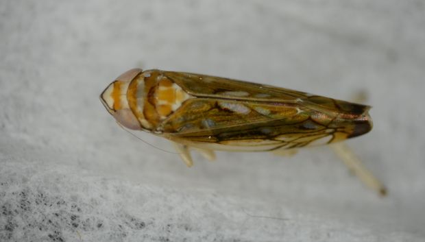 [1759996784240739_7.jpg]