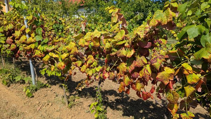 [1759996790640258_1.jpg]