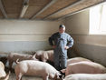 Mastschweine beobachten © VLV