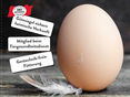 Posting Welteitag1 © LK Niederösterreich