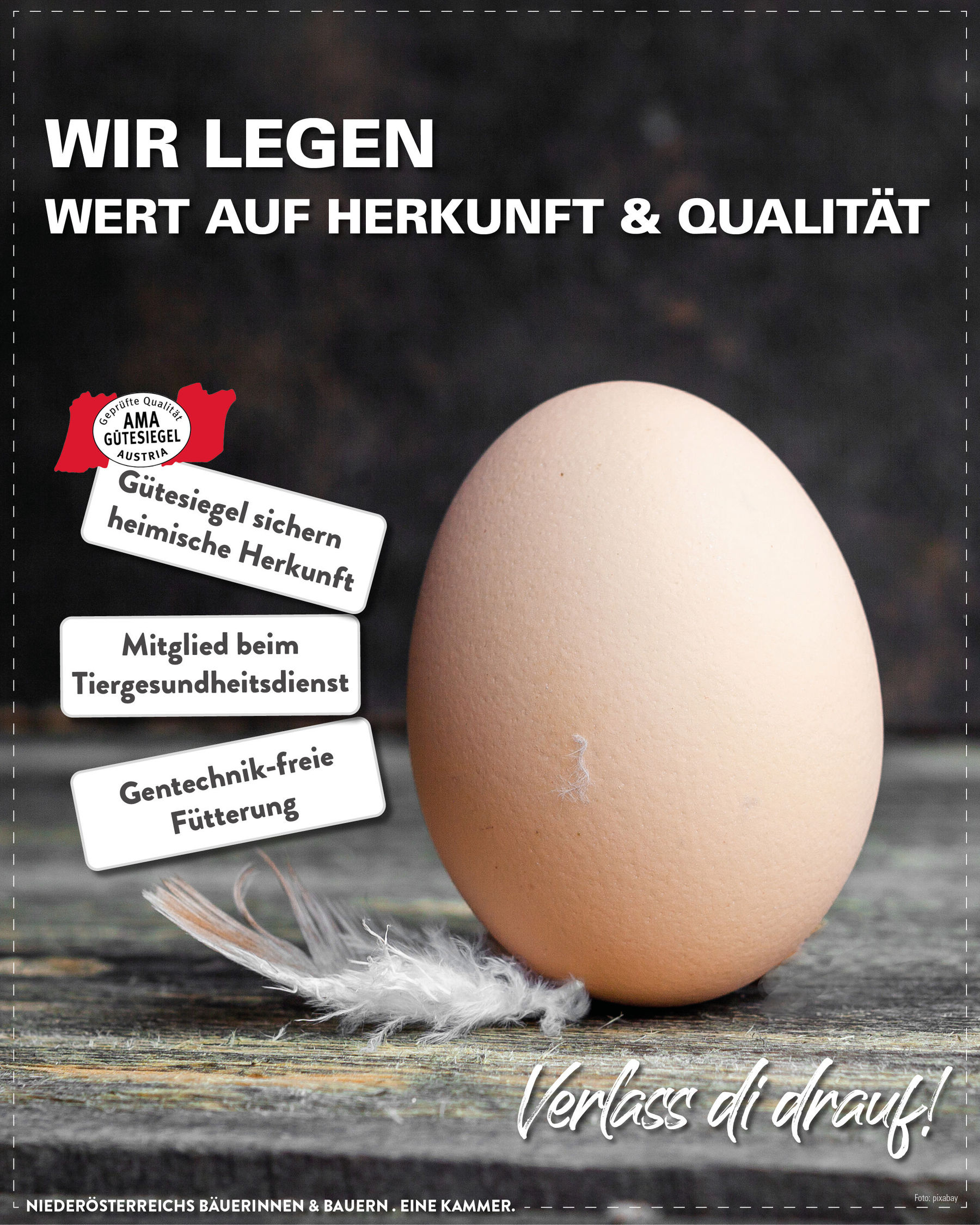 Posting Welteitag1.jpg © LK Niederösterreich