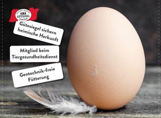 Posting Welteitag1 © LK Niederösterreich