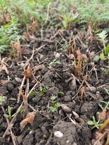 [1760076186296749_5.jpg]