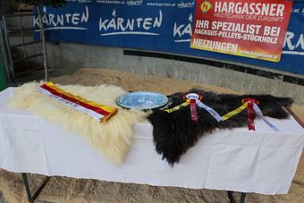 © Frießnegger