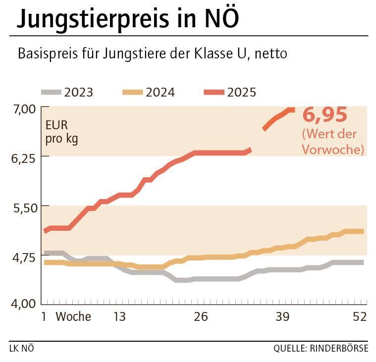 Grafik Stierpreis 42_2025.jpg © LK NÖ