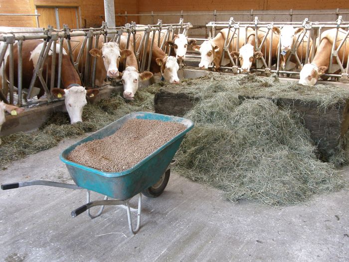 [1760529317042196_1.jpg]