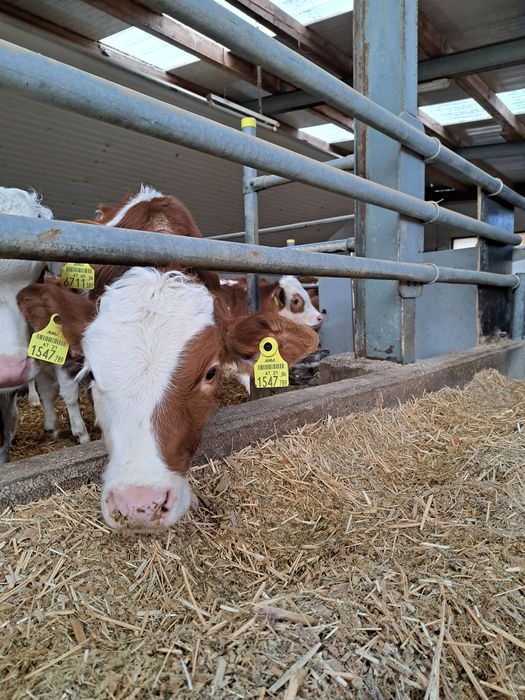 [1760529721608996_1.jpg]