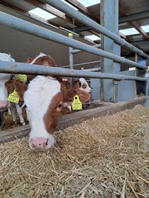 [1760529721608996_5.jpg]