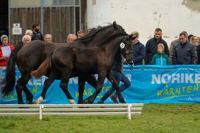 [1760533192617826_5.jpg]