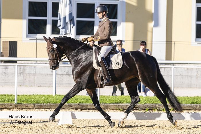 [1760533541862835_1.jpg]