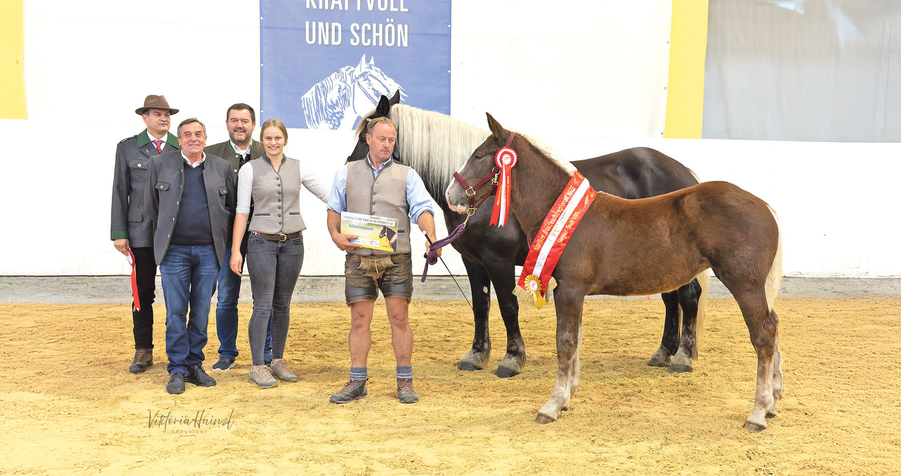 Salzburgs Noriker beweisen sich beim Bundeschampionat.jpg © Viktoria Hainzl