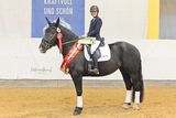 Salzburgs Noriker beweisen sich beim Bundeschampionat.jpg © Viktoria Hainzl